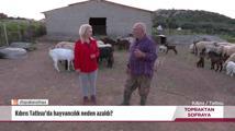 Topraktan Sofraya – Kıbrıs | 28 Nisan 2024