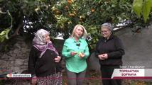 Topraktan Sofraya – Kolaj | 7 Nisan 2024