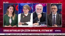 Görüş - 24 Mayıs 2024