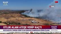 Akşama Doğru – 20 Ağustos 2024