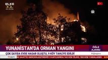 Öğle Ajansı – 12 Ağustos 2024