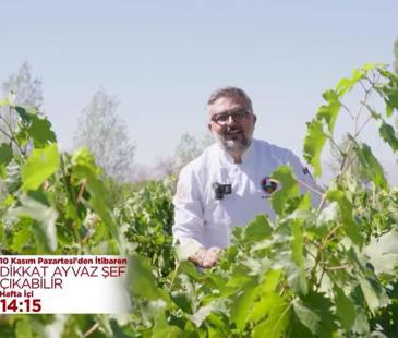 “Dikkat Ayvaz Şef Çıkabilir”, 10 Kasım Pazartesi’den itibaren hafta içi her gün 14.15’te Kanal 7 ekranlarında...