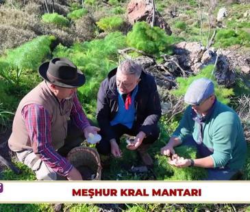 Dikkat Ayvaz Şef &Ccedil;ıkabilir - &Ccedil;omakdağ | 18 Şubat 2026