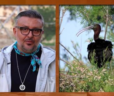 Dikkat Ayvaz Şef &Ccedil;ıkabilir - Birecik - Kolaj | 24 Nisan 2026