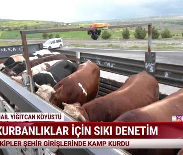  Kanal 7 Haber Saati - 15 Mayıs 2026