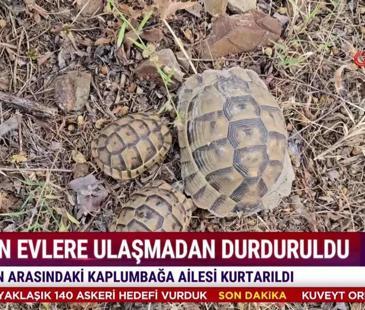 &Uuml;lke'de Hafta Sonu - 12 Temmuz 2026