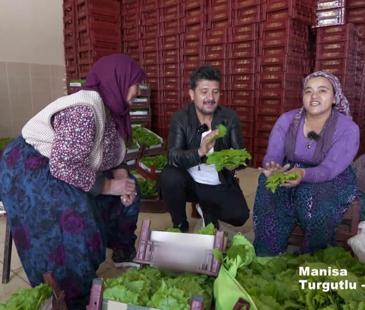 G&uuml;nd&uuml;z Gece &ndash; Manisa - Turgutlu | 4 Temmuz 2026