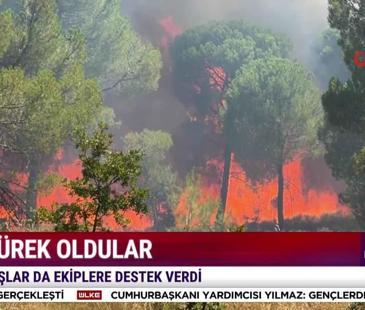 &Uuml;lke'de Hafta Sonu - 2 Ağustos 2026