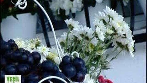 YEŞİL BİSİKLET - 1 HAZİRAN 2014