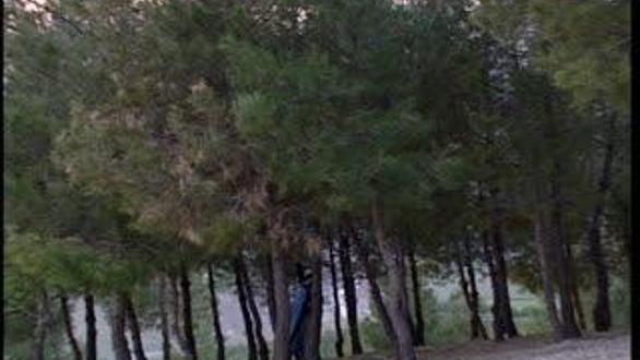 DUMANLI YOL - 50.BÖLÜM