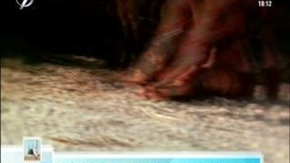 RESULULLAH'IN İZİNDE - KARNİ'L MENAZİL