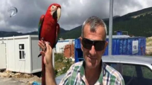 ANA HABER - 6 TEMMUZ 2016