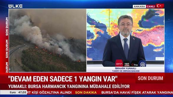 Öğle Ajansı – 29 Temmuz 2025