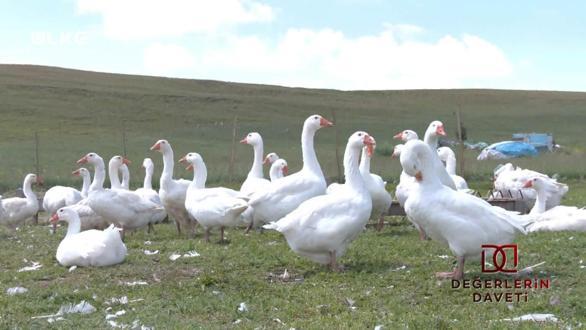 Değerlerin Daveti - Ardahan - Kaz Eti | 21 Eylül 2025