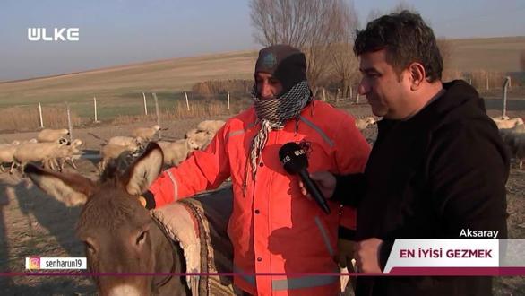 En İyisi Gezmek - Kolaj | 16 Kasım 2025