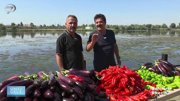 Gündüz Gece – Şanlıurfa - İnnaplı | 2 Kasım 2025