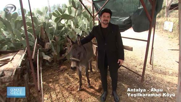 Gündüz Gece – Kolaj | 6 Aralık 2025