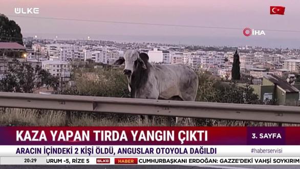 Haber Servisi - 18 Aralık 2025