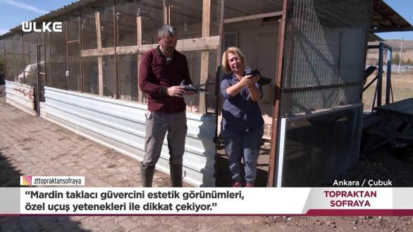 Topraktan Sofraya -  Ankara | 17 Aralık 2025