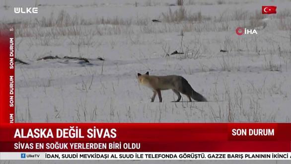 Haber Servisi - 13 Ocak 2026