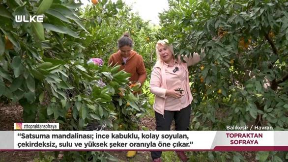 Topraktan Sofraya - Balıkesir - Kastamonu | 25 Ocak 2026