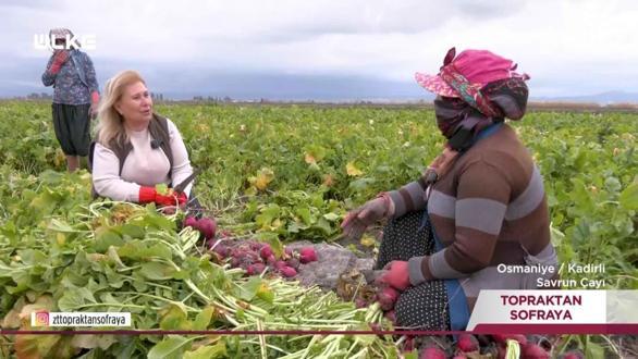 Topraktan Sofraya - Osmaniye - Kastamonu | 8 Şubat 2026