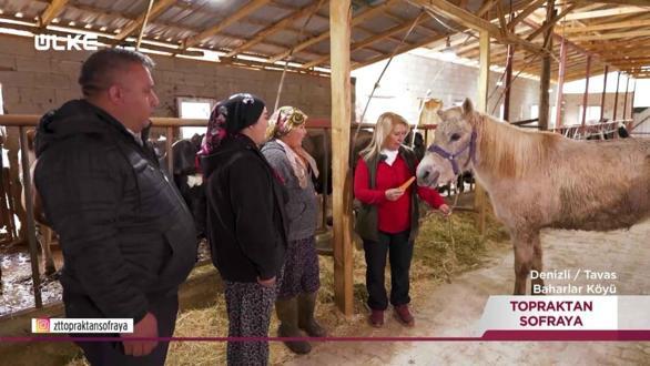 Topraktan Sofraya - Denizli | 22 Mart 2026