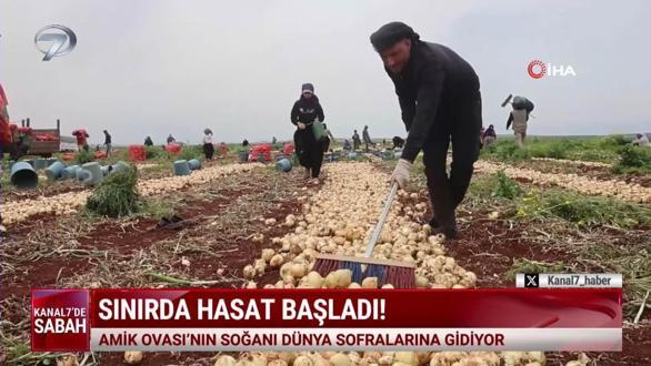 Kanal 7'de Sabah (Kanal 7 &Uuml;lke Tv Ortak Yayını) - 19 Nisan 2026