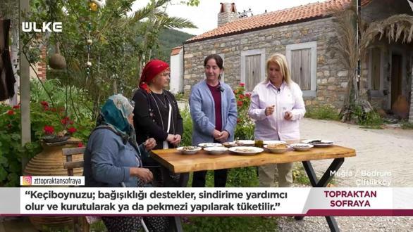Topraktan Sofraya - Muğla | 10 Mayıs 2026