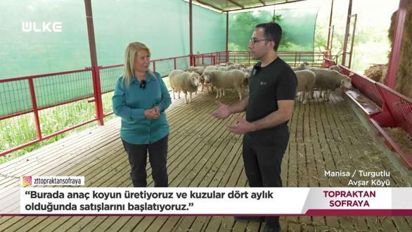 Topraktan Sofraya - Manisa | 24 Mayıs 2026