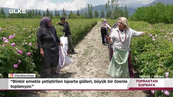 Topraktan Sofraya - Isparta | 5 Temmuz 2026