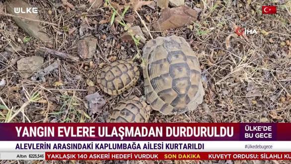 &Uuml;lke'de Hafta Sonu - 12 Temmuz 2026