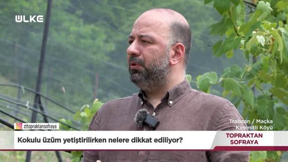 Topraktan Sofraya - Trabzon | 2 Ağustos 2026