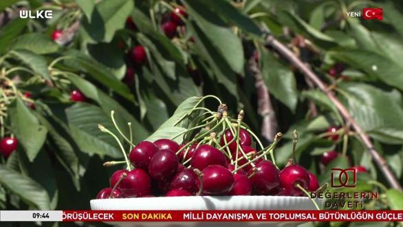 Değerlerin Daveti - Edirne - &Ccedil;eribaşı Kirazı | 8 Ağustos 2026