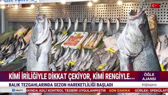 &Ouml;ğle Ajansı &ndash; 30 Eyl&uuml;l 2026