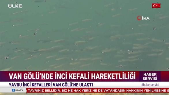 Haber Servisi - 28 Eyl&uuml;l 2026