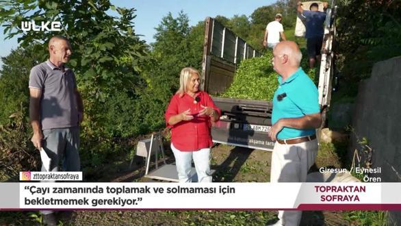 Topraktan Sofraya - Giresun | 18 Ekim 2026