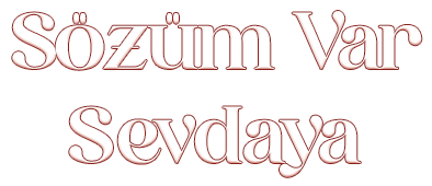 Sözüm Var Sevdaya