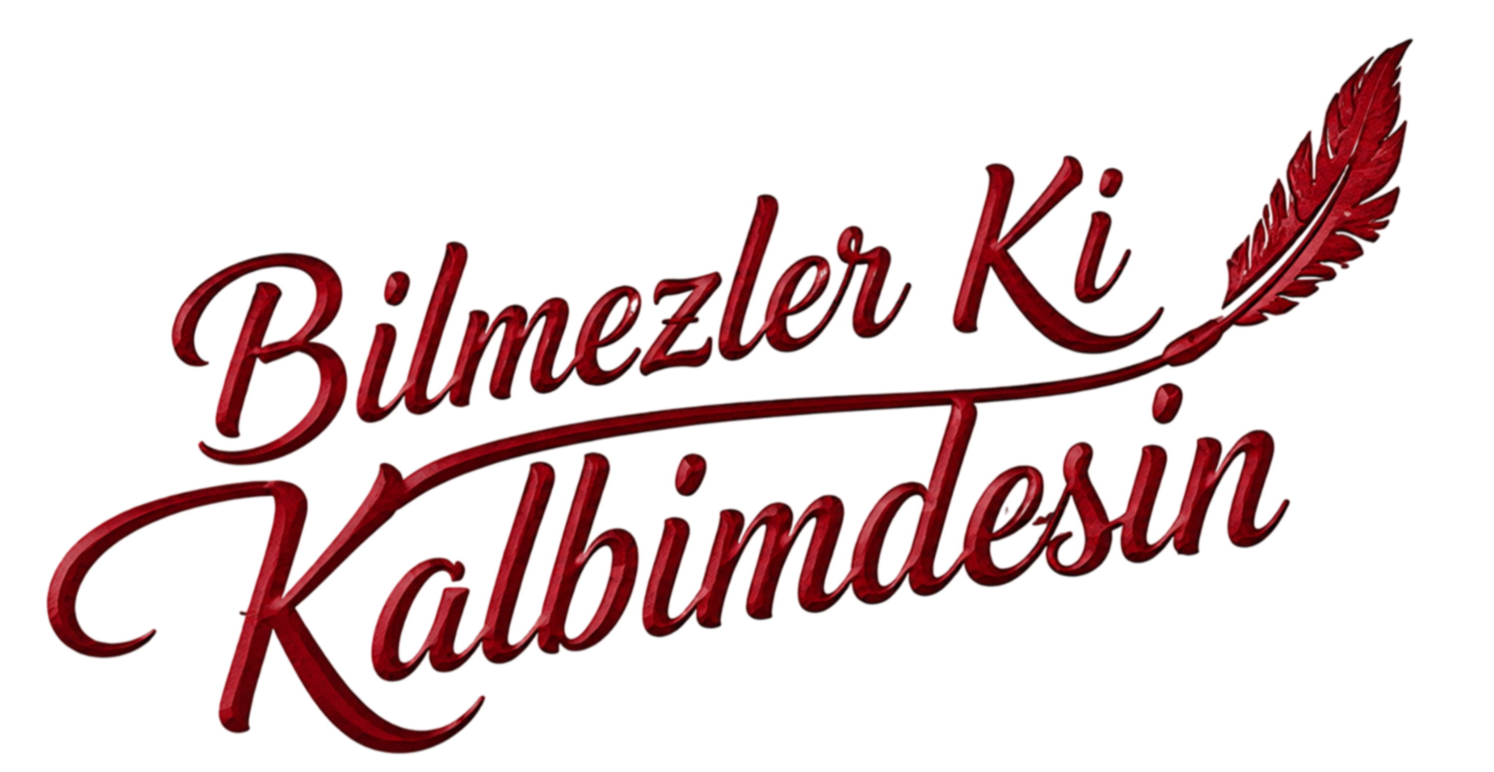 Bilmezler Ki Kalbimdesin