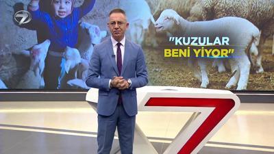  Kanal 7 Haber Saati - 25 Kasım 2025