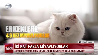  Kanal 7 Hafta Sonu Haberleri - 7 Aralık 2025