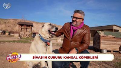 Dikkat Ayvaz Şef Çıkabilir - Sivas | 5 Aralık 2025