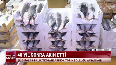 Kanal 7'de Sabah (Kanal 7 Ülke Tv Ortak Yayını) - 26 Ocak 2026