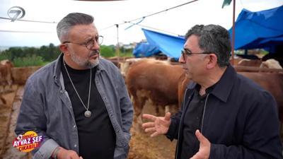 Dikkat Ayvaz Şef Çıkabilir - İstanbul - Kurban Özel | 25 Mayıs 2026