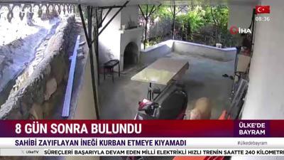 Ülke'de Bayram Sabahı - 29 Mayıs 2026