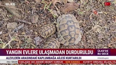 Ülke'de Hafta Sonu - 12 Temmuz 2026