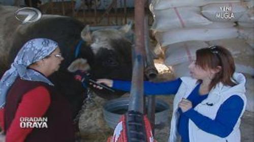 ORADAN ORAYA - 30 KASIM 2013