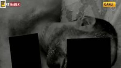 İŞTE VAHŞETIN BELGESİ 