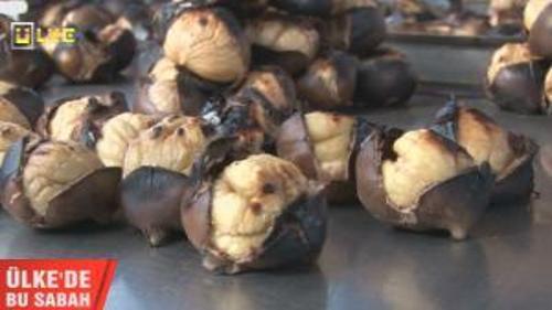 KESTANE ŞİFA SAÇIYOR