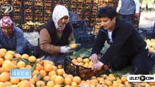 GÜNDÜZ GECE - ADANA